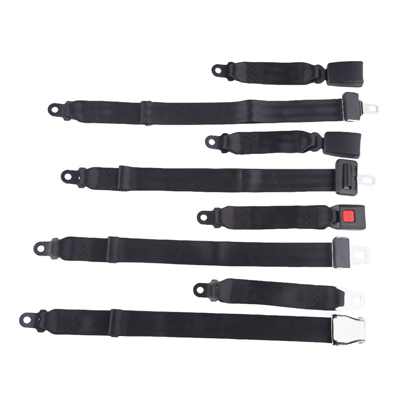 किन तपाईं भरपर्दो सुरक्षा को लागी एक साधारण दुई-पोइन्ट सीट बेल्ट एक छनौट गर्नुपर्छ?